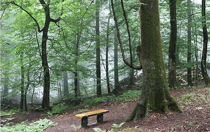 شرکت سازه گستر شمال